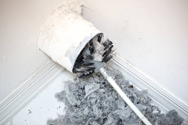 Best Air Duct Cleaning Near Me  in San Juan, TX